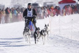 Lenk 2013